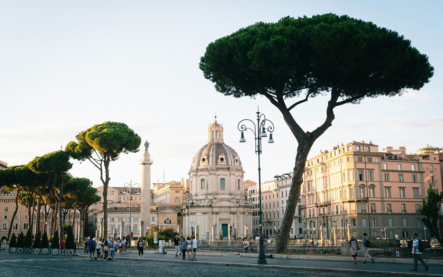 Colonna Traiana e pini di Roma